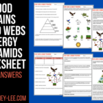 Food Chains And Food Webs Worksheet With Answers Laney Lee