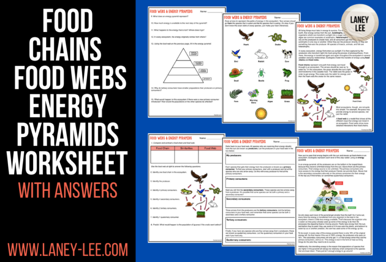 Food Chains And Food Webs Worksheet With Answers Laney Lee