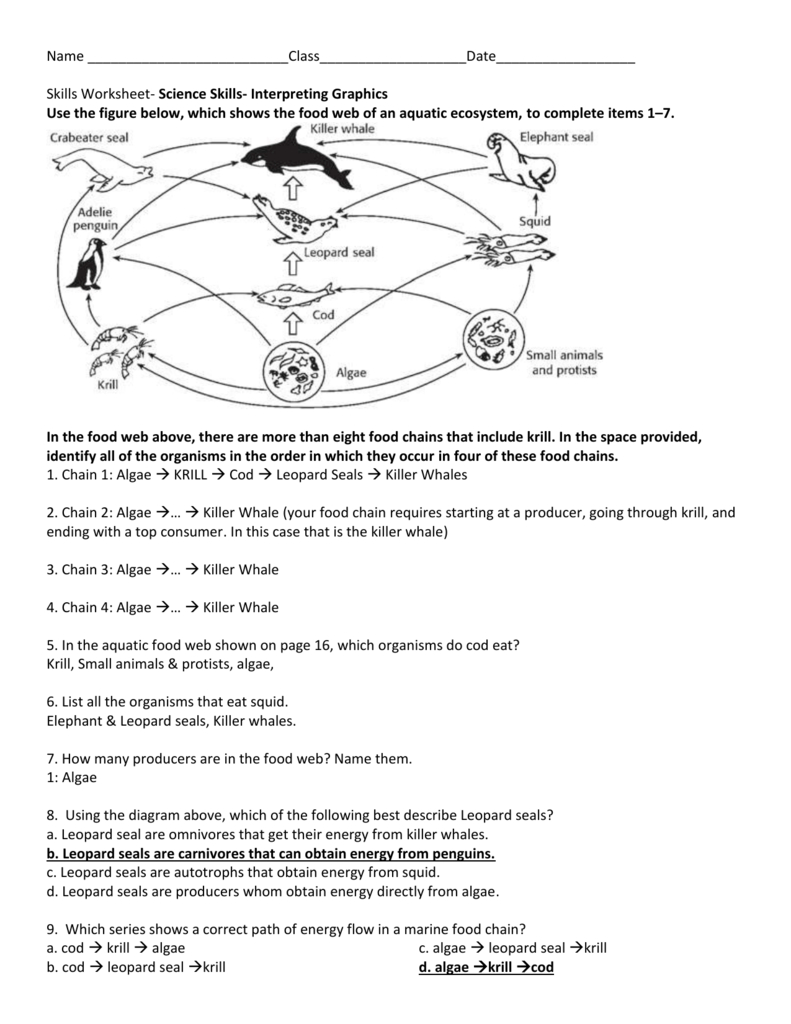 Food Chains And Webs Worksheet