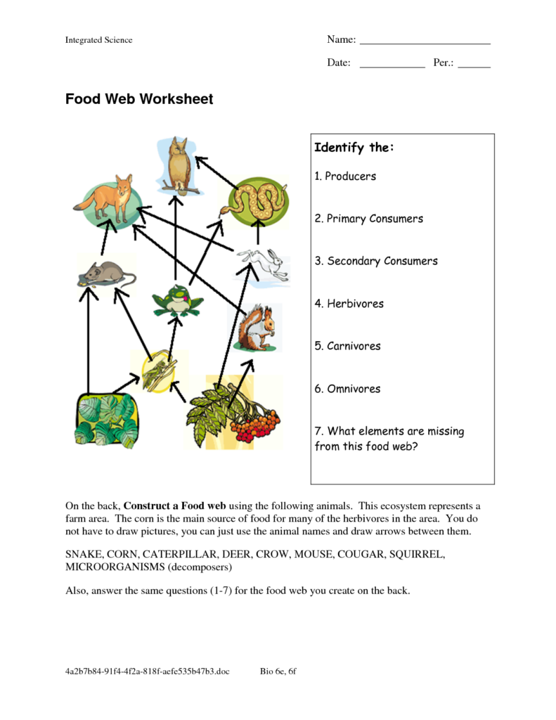 Food Web Worksheet Answer Key