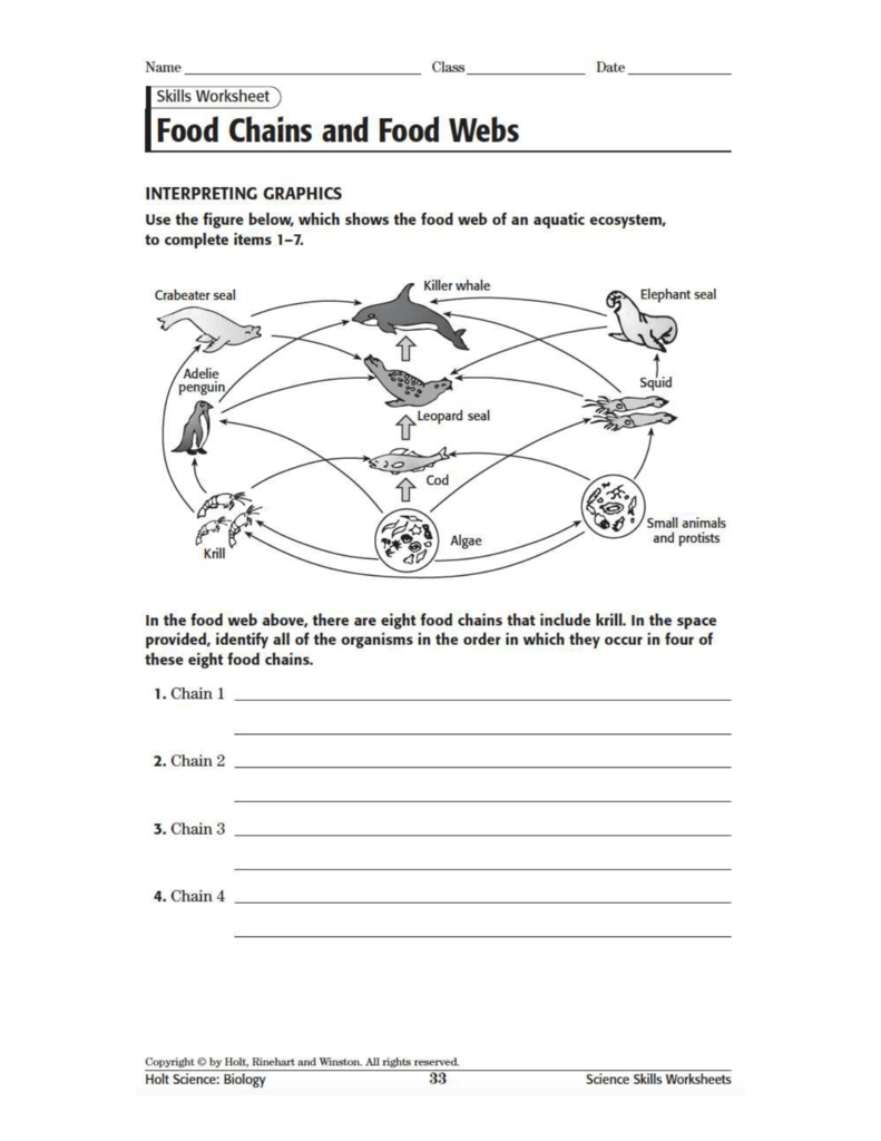 Food Webs And Food Chains Worksheet