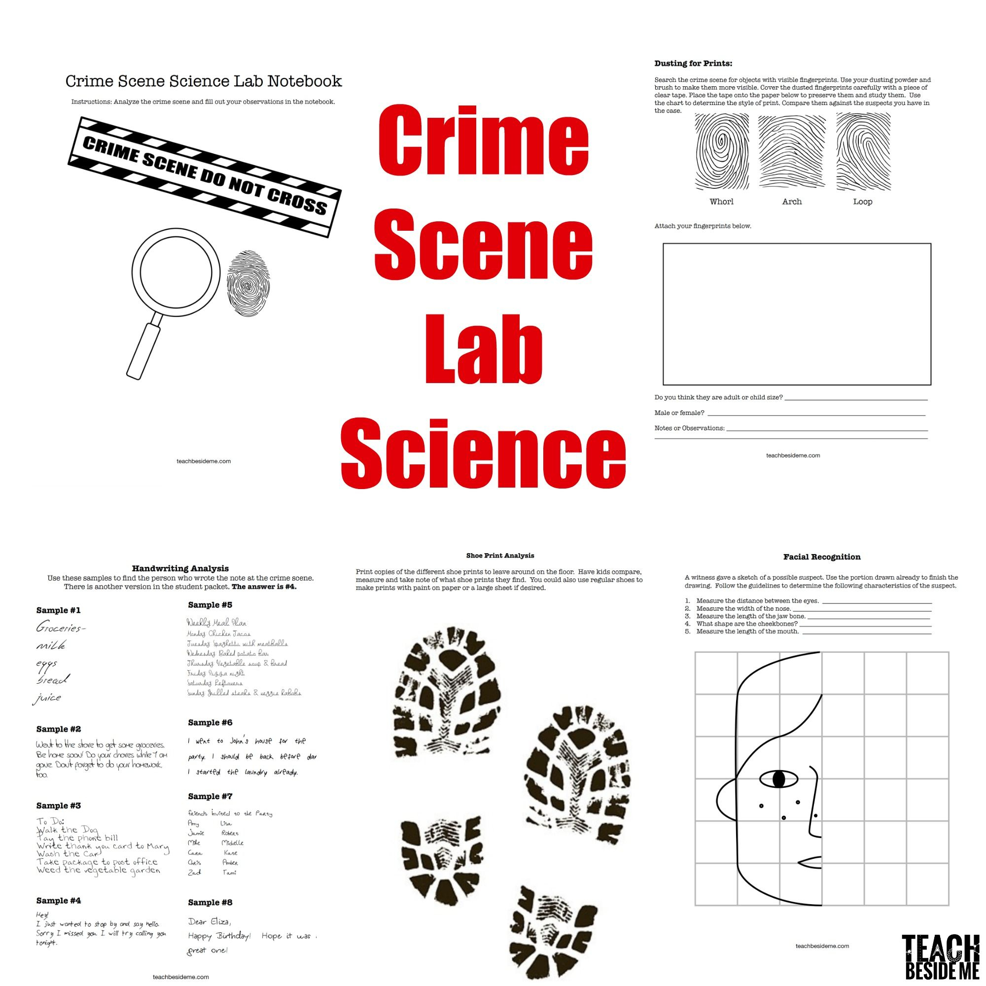 Forensic Science Toxicology Review Worksheet TPT Scienceworksheets net Forensic Science Toxicology Review Worksheet TPT Scienceworksheets net