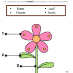 Grade 1 Science Activity Sheets Living And Non Living Things 1