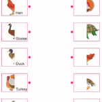 Grade 1 Science Lesson 4 Body Parts Of Animals Primary Science