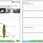 Grade 7 Natural Science NS Term 2 Oxford Classroom101