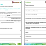 Grade 7 Natural Science NS Term 2 Platinum Classroom101