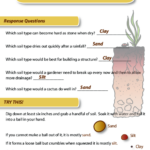 Layers Of Soil Get The Dirt Worksheets 99Worksheets