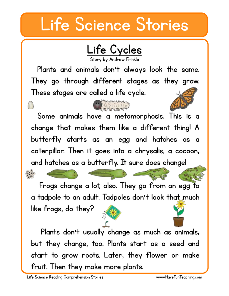 Life Cycle Worksheets Have Fun Teaching