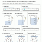 Science For 5th Graders Worksheets