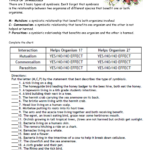 Symbiosis Worksheet Answer Key
