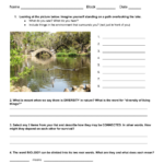 The Nature Of Science Worksheet