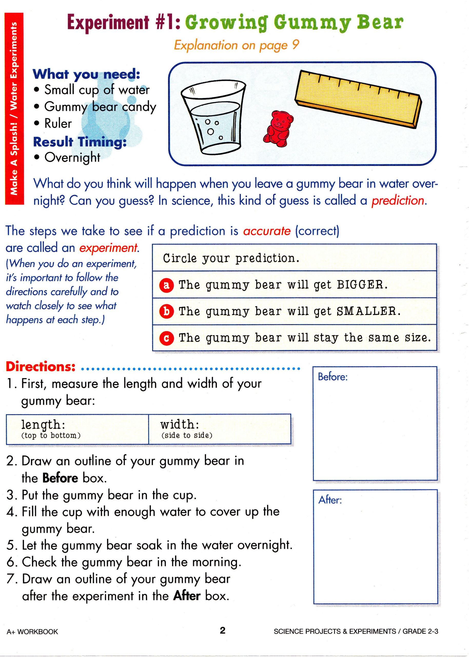 Third Grade 3rd Grade Science Worksheets With Answer Key Thekidsworksheet