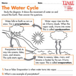 Water Cycle Worksheets 6th Grade Water Cycle Worksheet Water Cycle