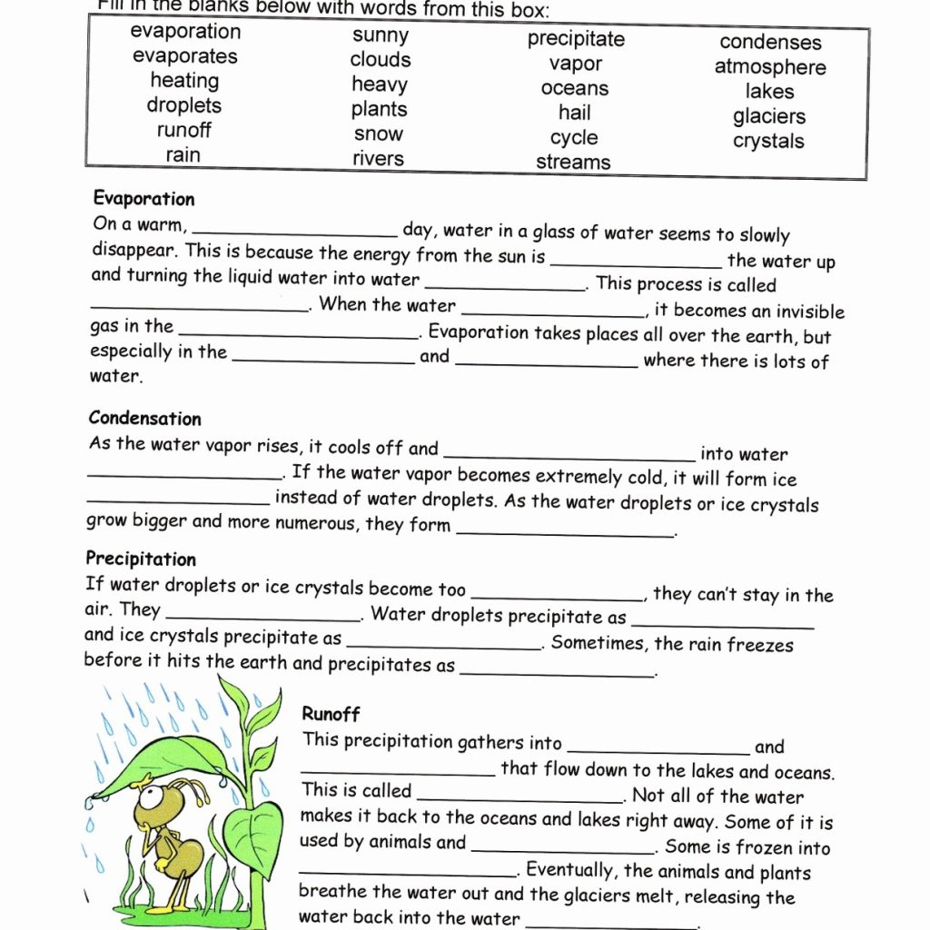 Water Cycle Worksheets 6th Grade