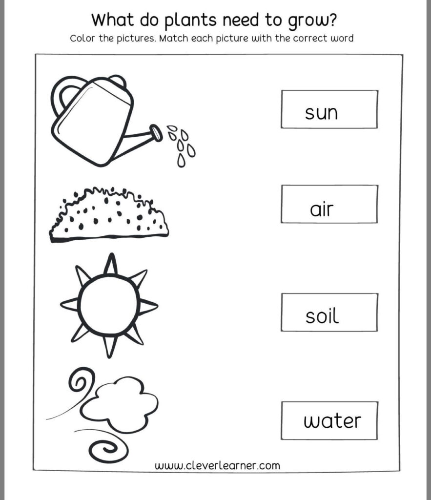 1st Grade Science Worksheets Free Printables