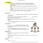 Bioaccumulation And Biomagnification Worksheet