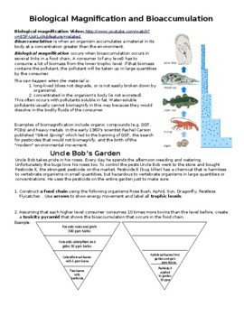 Bioaccumulation And Biomagnification Worksheet By Palmetto Science