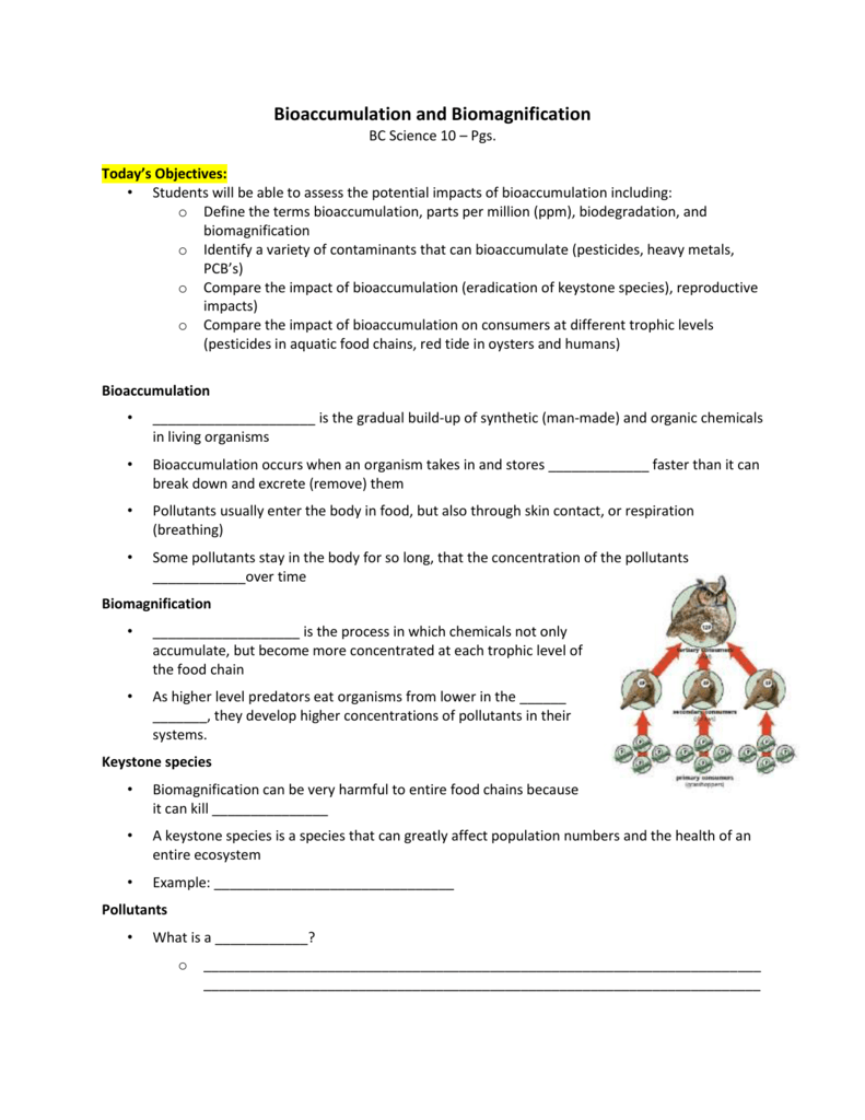 Bioaccumulation And Biomagnification Worksheet