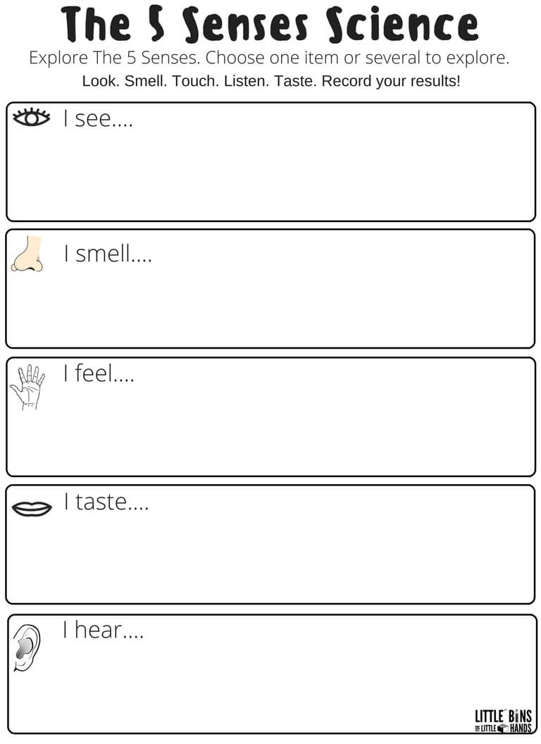 Free Science Worksheets And Printable Science Journal Pages