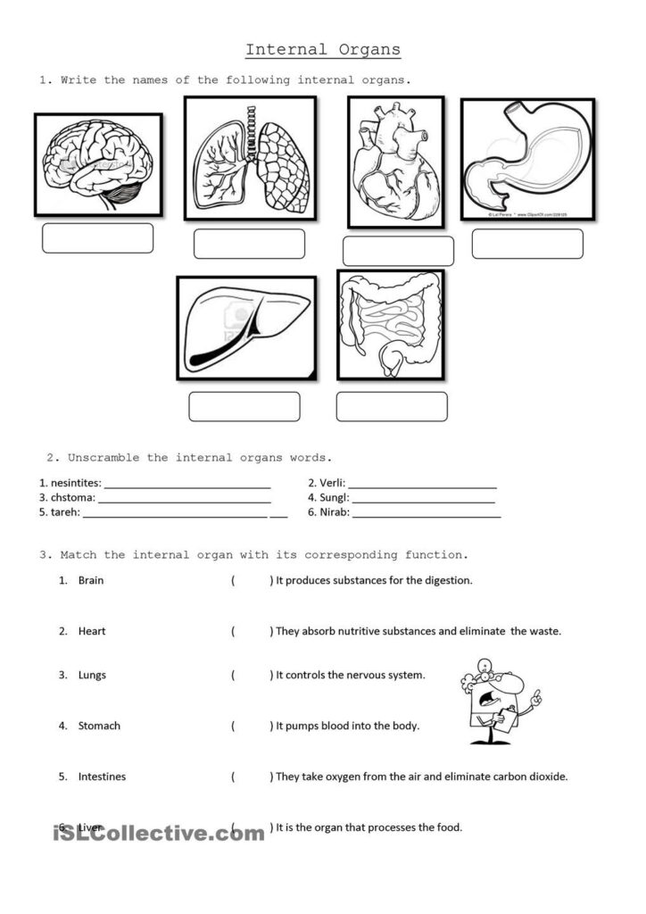 Grade 5 Science Worksheets