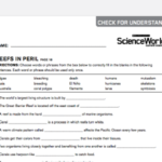 Learn More Scholastic Science World Magazine Worksheets Library