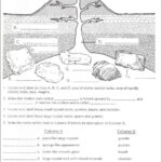 Science Rocks And Minerals Worksheet
