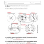 Sw Science 10 Unit 1 Mitosis Worksheet Fill Online Printable