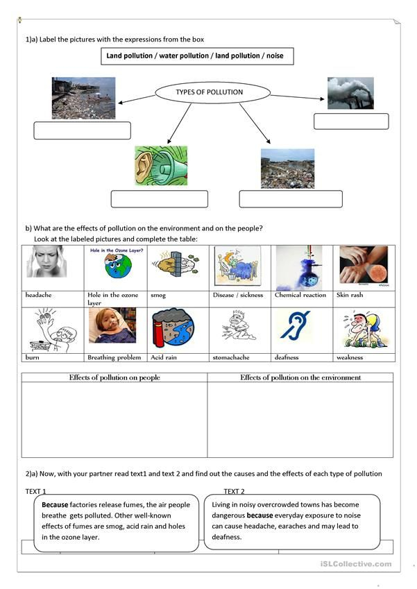 What Is Environmental Science Worksheet Environmentals Sciences